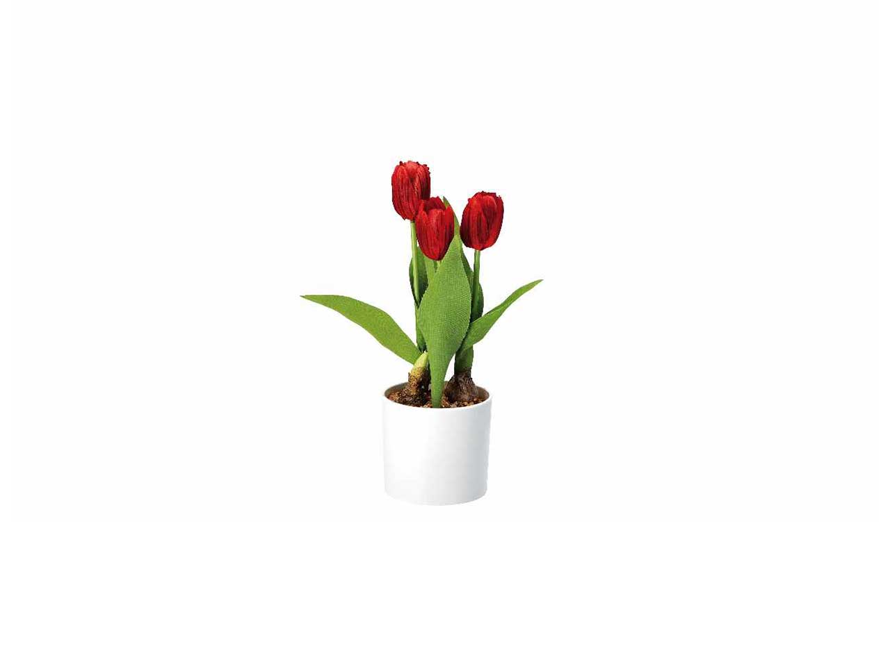 Vaso c/tulipani d.10xh32cm 74876
